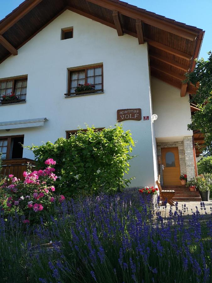 Apartmaji Volf Zgornje Gorje Eksteriør billede