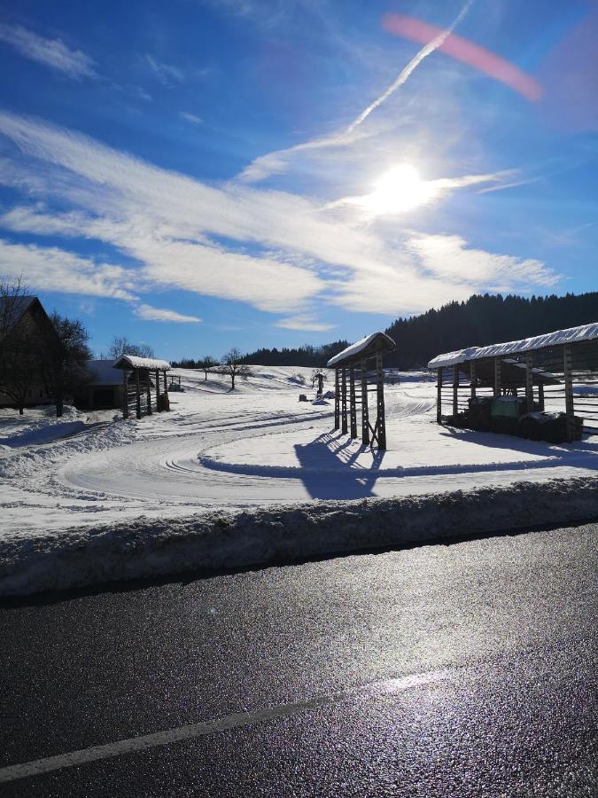 Apartmaji Volf Zgornje Gorje Eksteriør billede