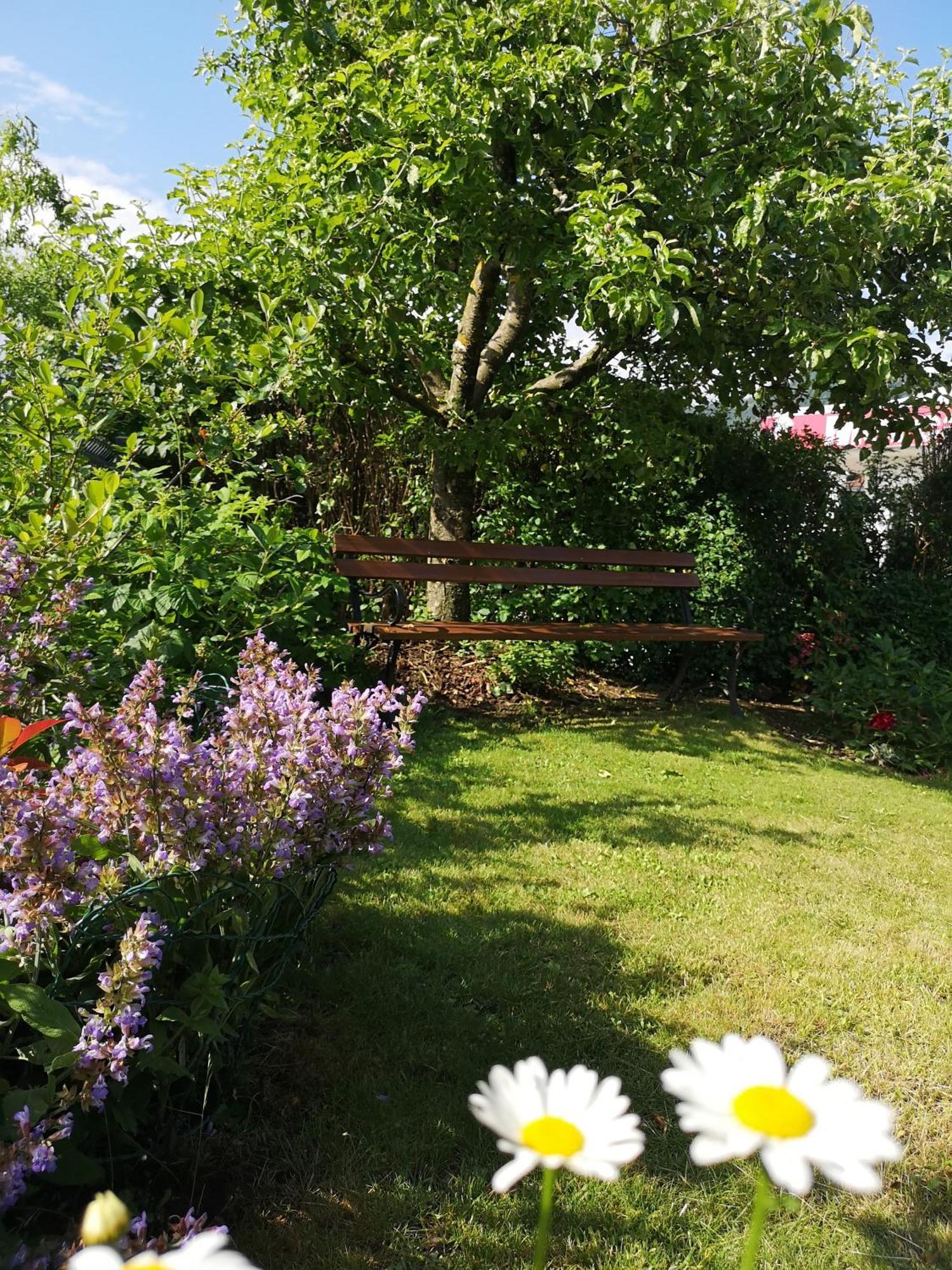 Apartmaji Volf Zgornje Gorje Værelse billede